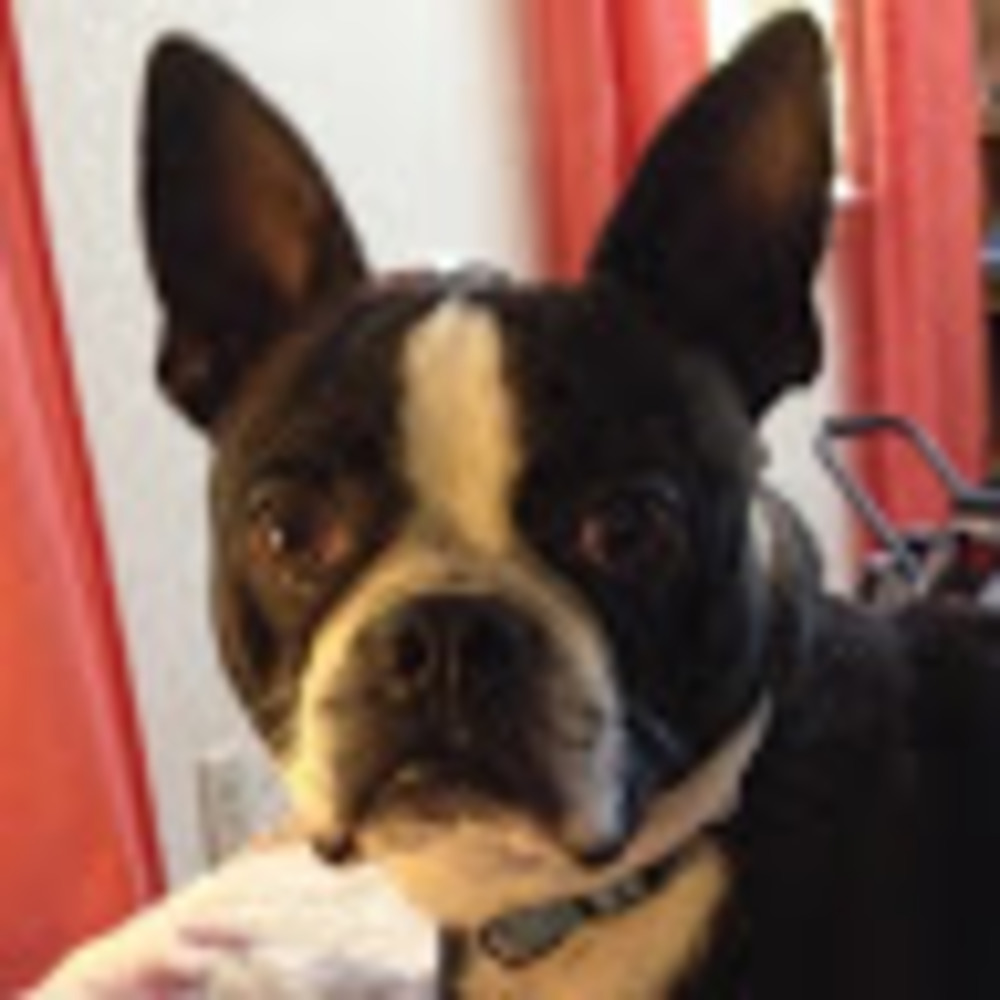 Meet your Posher, Jeff